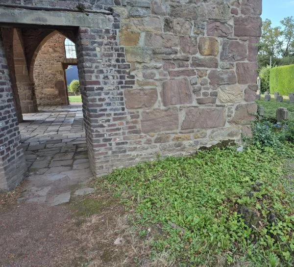 Ein Abschnitt einer alten Kirchenmauer aus unterschiedlich großen, naturbelassenen Steinen. Links öffnet sich ein Torbogen zu einem gepflasterten Innenhof mit weiteren Steinmauern. Rechts wächst dichter grüner Bewuchs am Fuß der Mauer. Im Hintergrund sind Grabsteine und eine Hecke zu erkennen.