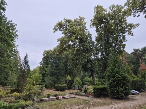 Grabsteine und Gräber liegen zwischen gepflegten Hecken und Bäumen. Der Himmel ist bewölkt, das Licht wirkt gedämpft. Im Vordergrund sind einzelne Grabbepflanzungen und Blumen zu erkennen. Die Umgebung ist von dichtem Grün und hohen Bäumen geprägt.