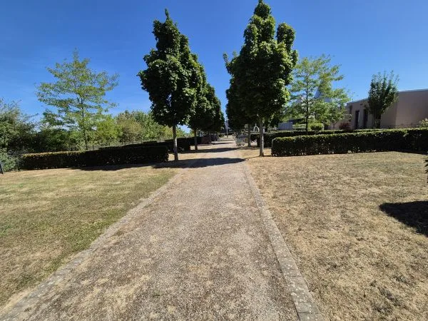 Ein gerader, breiter Kiesweg führt durch eine Grünanlage. Links und rechts des Weges stehen regelmäßig geschnittene Hecken und mehrere Laubbäume mit dichter Krone. Die Rasenflächen wirken trocken und gelblich. Im Hintergrund sind moderne, flache Gebäude zu erkennen. Der Himmel ist wolkenlos und intensiv blau.
