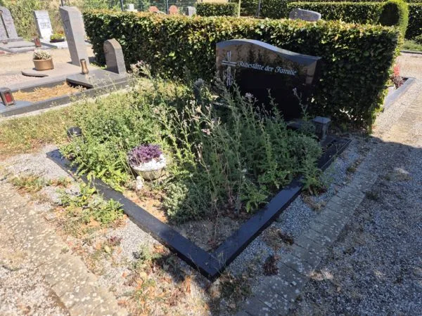 Ein Grab mit dunklem, rechteckigem Grabstein steht im Vordergrund. Die Grabfläche ist von einem niedrigen, dunklen Rahmen eingefasst und mit verschiedenen, teils hochgewachsenen Wildpflanzen bewachsen. Links vorne befindet sich eine runde, helle Pflanzschale mit lila und weißen Blumen. Im Hintergrund sind weitere Grabsteine und eine akkurat geschnittene Hecke zu sehen. Der Boden um das Grab ist mit Kies bedeckt.