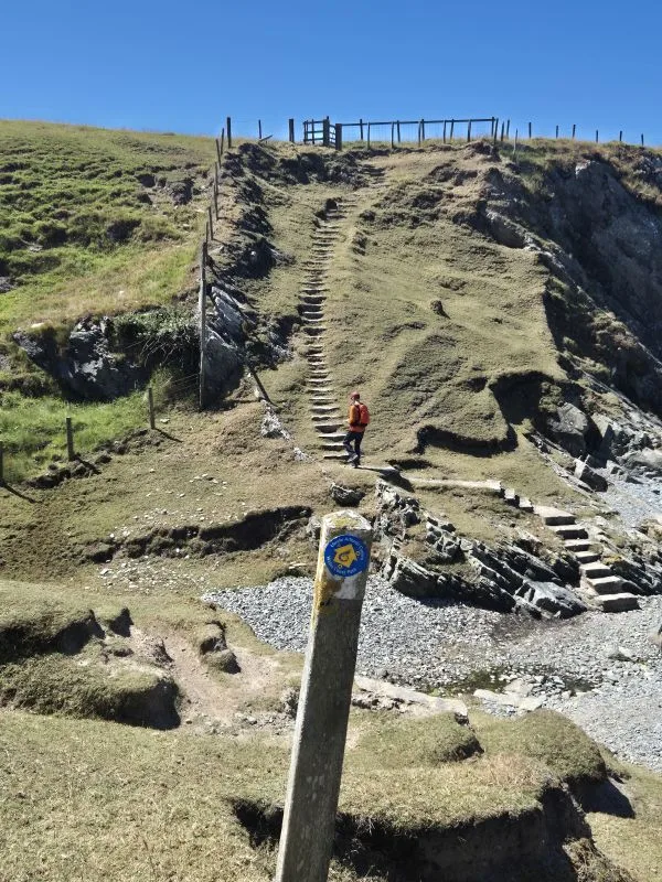 Im Vordergrund steht ein hölzerner Pfosten mit einem blauen und gelben Wanderwegzeichen. Es steht für den Wales Costal PAth. Dahinter führt eine steile Treppe aus Stein und Erde einen grasbewachsenen Hang hinauf. Eine Person in heller Hose und rotem Oberteil steigt die Treppe hinauf. Oben auf dem Hügel befindet sich eine hölzerne Aussichtsplattform mit Geländer. Der Himmel ist klar und blau.