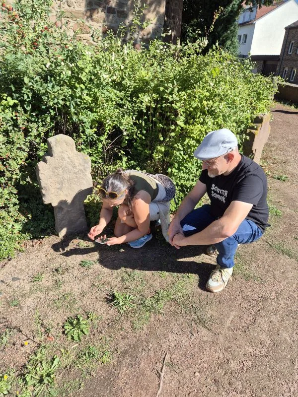 Das Bild zeigt zwei Personen, die im Freien neben einem alten Grabstein und dichtem Gebüsch hocken. Links: Eine Frau kniet sich nach vorne und richtet ein Smartphoe auf Pfnazen am Boden. Sie trägt Sonnenbrille, ein ärmelloses Oberteil, kurze Hose und Sportschuhe. Rechts: Ein Mann sitzt in die Hocke, trägt eine helle Schiebermütze, ein schwarzes T-Shirt mit der weißen Aufschrift Schotterschreck und blaue Hosen. Er beobachtet die Szene neben sich. Es ist sonnig, mit starken Schatten auf dem Boden. Im Hintergrund sieht man eine Hecke, einen großen Stein und teilweise Häuser.