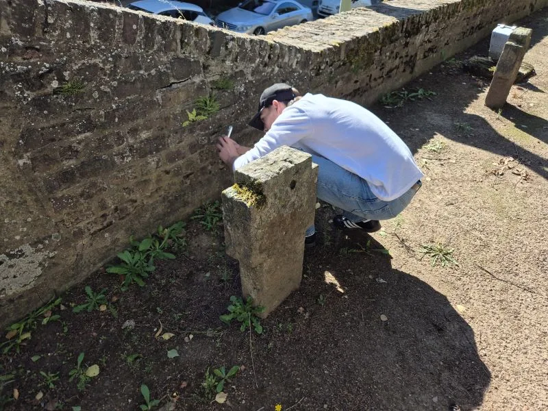 Das Bild zeigt eine Person, die in geduckter Haltung an einer alten Steinmauer Pflazen untersucht. Sie trägt ein weißes Oberteil, Jeans und schwarzer Kappe Sie hockt sich dicht an die Mauer In der Hand hält sie ein Smartphone