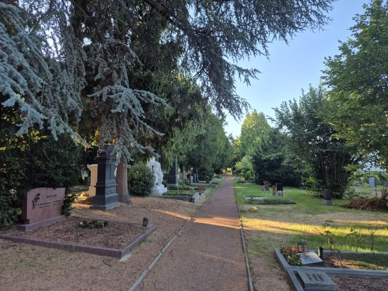 Ein breiter Kiesweg führt durch eine gepflegte Friedhofsanlage, die von hohen Bäumen und dichtem Grün gesäumt ist. Links und rechts des Weges stehen Grabsteine und Grabmale unterschiedlicher Form und Größe, einige mit Blumen oder kleinen Laternen geschmückt. Das Sonnenlicht fällt durch das Laub und erzeugt helle und schattige Bereiche auf dem Weg und den Gräbern. Im Hintergrund setzt sich der Weg zwischen weiteren Bäumen und Grabstätten fort.