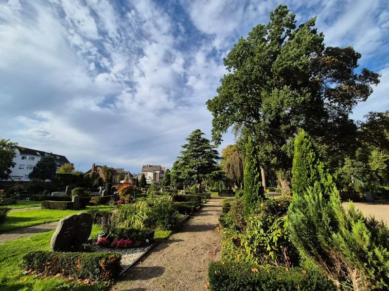 Ein breiter Kiesweg führt durch eine gepflegte Parkanlage mit zahlreichen Büschen, Hecken und Bäumen. Grabsteine und Blumenbeete säumen den Weg. Im Hintergrund stehen Wohnhäuser, der Himmel ist mit lockeren Wolken bedeckt und die Sonne wirft lange Schatten.
