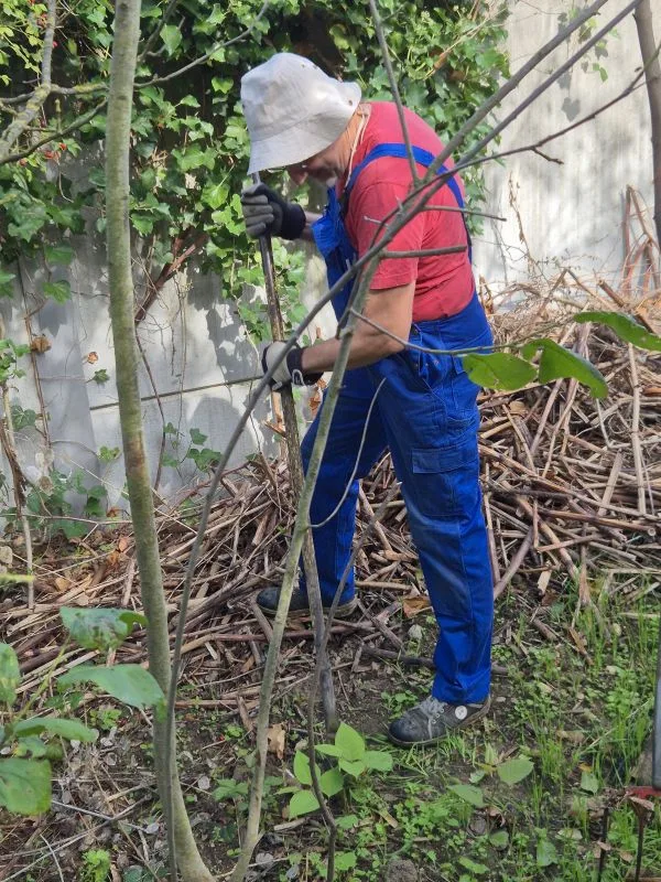 Eine Person mit weißem Hut, rotem T-Shirt und blauer Latzhose steht auf einem bewachsenen Boden und hält eine Brechstange. Im Hintergrund sind zahlreiche braune Äste und eine graue Mauer zu sehen, die teilweise von grünen Kletterpflanzen bedeckt ist. Die Person trägt schwarze Handschuhe und blickt nach unten.