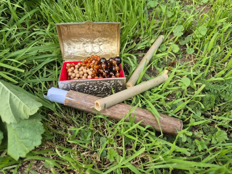 Eine kleine, verzierte Metallkiste mit rotem Innenfutter steht geöffnet im Gras. Darin liegen verschiedene Perlen in Braun- und Beigetönen. Daneben liegen drei unterschiedlich dicke, hohle Pflanzenstängel. In einem steckt ein gerolltes Papier. Die Szene ist von frischem, grünem Gras und einigen Blättern umgeben.