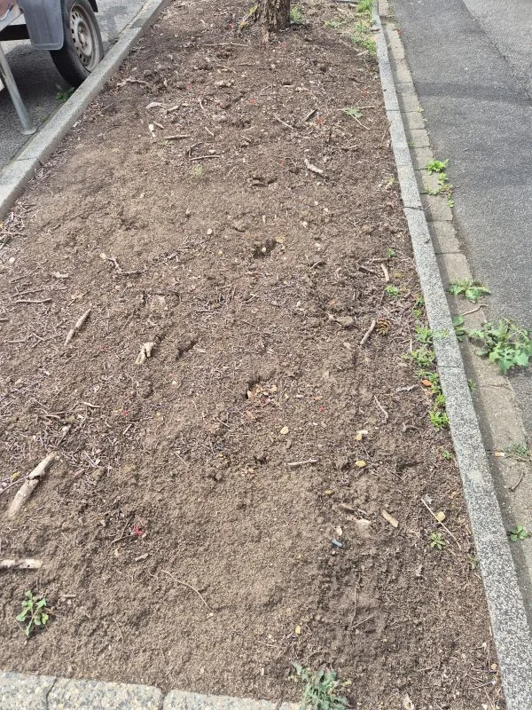 Ein rechteckiges Beet mit lockerer, brauner Erde liegt zwischen Gehweg und Straße. Wenige kleine grüne Pflanzen wachsen vereinzelt am Rand. Im Hintergrund steht ein Baum, dessen Stamm sichtbar ist. Die Umgebung besteht aus grauem Asphalt und Bordsteinen.