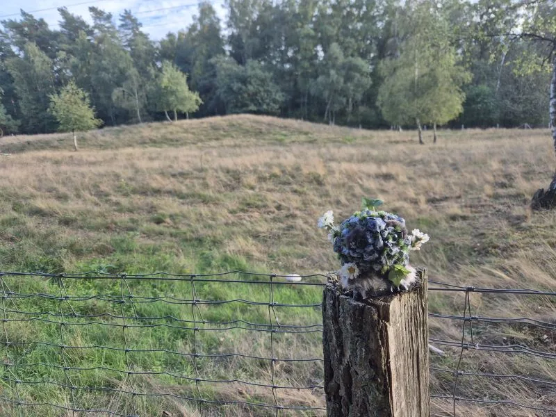 Im Hintergrund ist unscharf eine Heidelandschaft mit Gras und Bäumen zu sehen. Auf einem hölzernen Zaunpfahl im Vordergrund sitzt eine kleine, kunstvoll gestaltete Figur. Der Körper besteht aus Steinen, Moos und Pflanzenmaterial. Das Wesen hat große, auffällige Augen. Um den Kopf herum sind kleine weiße Blumen angebracht.