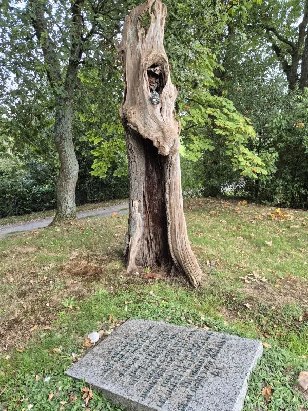 Verwitterter hohler Baumstamm im Hintergrund. In einer Asthöle sitzt eine kleine, kunstvoll gestaltete Figur. Der Körper besteht aus Steinen, Moos und Pflanzenmaterial. Das Wesen hat große, auffällige Augen. Um den Kopf herum sind kleine weiße Blumen angebracht. Im Vordergrund lieget ein Grabstein auf einer Grasfläche. Im Hintergrund sind Bäumenzu sehen.