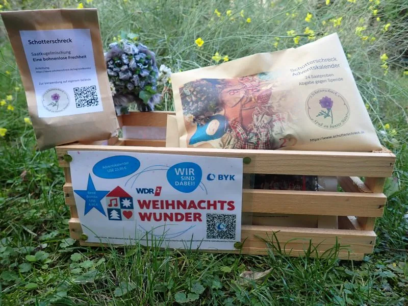 Holzkiste mit einer braune Tüte mit einem Etikett mit der Aufschrift "Schotterschreck" und eine größerer bunte gestalteter Briefumschlag mit der Auschrift "Schotterschreck Adventskalender". Die Kiste steht auf Gras. Im Hintergrund sind gelbe Blüten. Auf der Vorderseite der Kiste befindet sich ein großes, farbiges Schild mit mehreren Logos, Symbolen und dem Schriftzug 'WDR 2 WEIHNACHTS WUNDER'. Auf dem Kistenrand befindet sich eine kleine, kunstvoll gestaltete Figur. Der Körper besteht aus Steinen, Moos und Pflanzenmaterial. Das Wesen hat große, auffällige Augen. Um den Kopf herum sind kleine weiße Blumen angebracht.